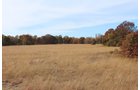 Tract 11 - OKLAHOMA LAND & REAL ESTATE AUCTION, 438 +/- Acres offered in 13 Tracts